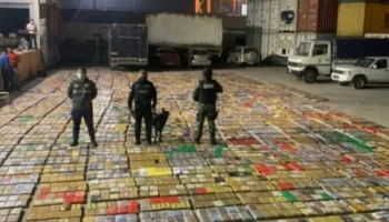 Si u krijua aleanca mes m@fies shqiptare dhe karteleve të dr@gës në Meksikë