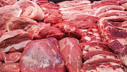 SKANDAL/ Zbulohen 4 mijë ton mish të padeklaruar dhe miliona euro të fshehura, kontrolli zbulon se…