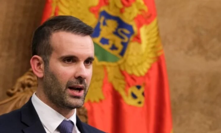 Spajiqi për idenë e Vuçiqit për anëtarësimin në BE: Mali i Zi do të jetë në BE në vitin 2028, atje ju presim