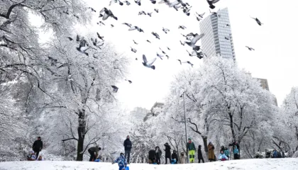 Stuhia e dëborës “paralizon” New York-un, mbi 1,600 fluturime të anuluara, kaos në transport