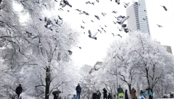 Stuhia paralizon Nju Jorkun, anulohen mijëra fluturime