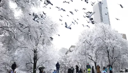 Stuhia paralizon Nju Jorkun, anulohen mijëra fluturime