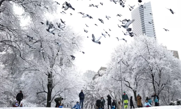 Stuhia paralizon Nju Jorkun, anulohen mijëra fluturime