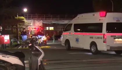 Sulm me thikë në Japoni, 15 të plagosur