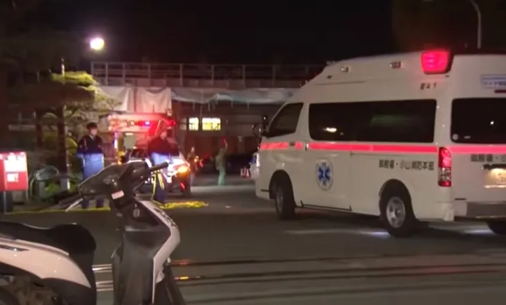 Sulm me thikë në Japoni, 15 të plagosur