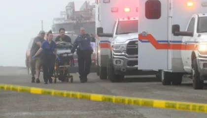 Të paktën 6 të vdekur pas rrëzimit të një aeroplani të Marinës Meksikane, përfshirë një fëmijë