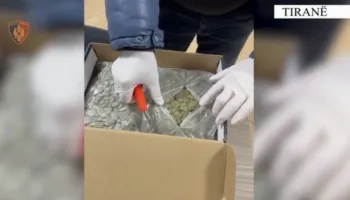 Tiranë/ Sekuestrohet lëndë narkotike, në pranga 23-vjeçari nga Dibra