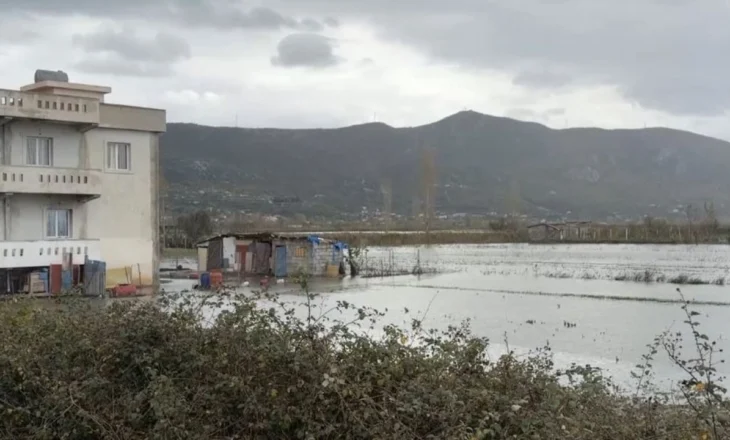 Tokat e përmbytura/ Një javë nën ujë, fermerët në Lezhë: Dëme kolosale, nuk mund t’i mbjellim