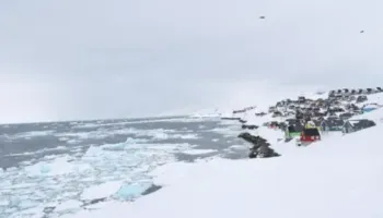 Trump emëron të dërguar në Groenlandë, duke ndezur një mosmarrëveshje të re me Danimarkën