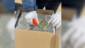 U kap me kanabis në formë xhelatine me vlerë rreth 10.000 euro, arrestohet 23 vjeçari. Lënda narkotike e trafikuar nga Kanadaja