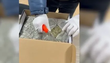 U kap me kanabis në formë xhelatine me vlerë rreth 10.000 euro, arrestohet 23 vjeçari. Lënda narkotike e trafikuar nga Kanadaja