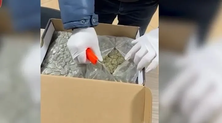 U kap me kanabis në formë xhelatine me vlerë rreth 10.000 euro, arrestohet 23 vjeçari. Lënda narkotike e trafikuar nga Kanadaja