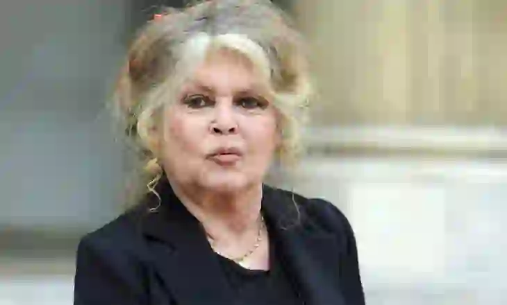 U shtrua në spital, si paraqitet gjendja e Brigitte Bardot?