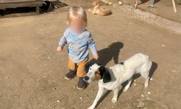 U sulmua nga qeni, ky është 2-vjeçari shqiptar që humbi jetën në Greqi. Lirohen prindërit e tij