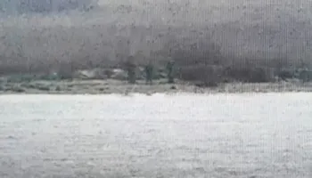 Video/ Kaluan kufirin në mënyrë të paligjshme në Estoni, tre ushtarë rusë futen në territorin e NATO