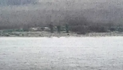 Video/ Kaluan kufirin në mënyrë të paligjshme në Estoni, tre ushtarë rusë futen në territorin e NATO