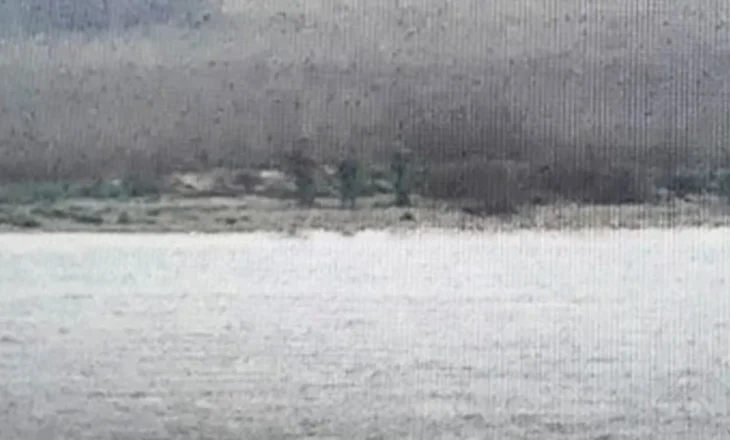 Video/ Kaluan kufirin në mënyrë të paligjshme në Estoni, tre ushtarë rusë futen në territorin e NATO