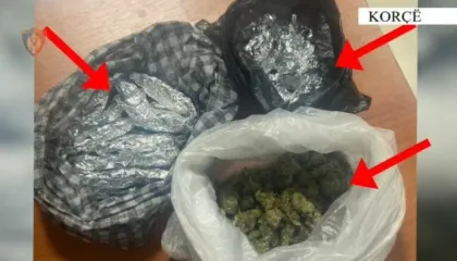 VIDEO-Pogradec, arrestohet zjarrfikësi i bashkisë, shfrytëzonte lokalin për të shitur drogë! Sekuestrohen kanabis dhe para..