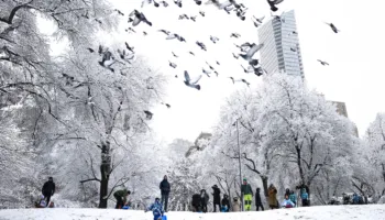 VIDEO-Stuhia e dëborës “ngrin” Nju Jorkun/ Anulohen fluturimet, kaos në transport! Gjendje e jashtëzakonshme në Nju Xhersi