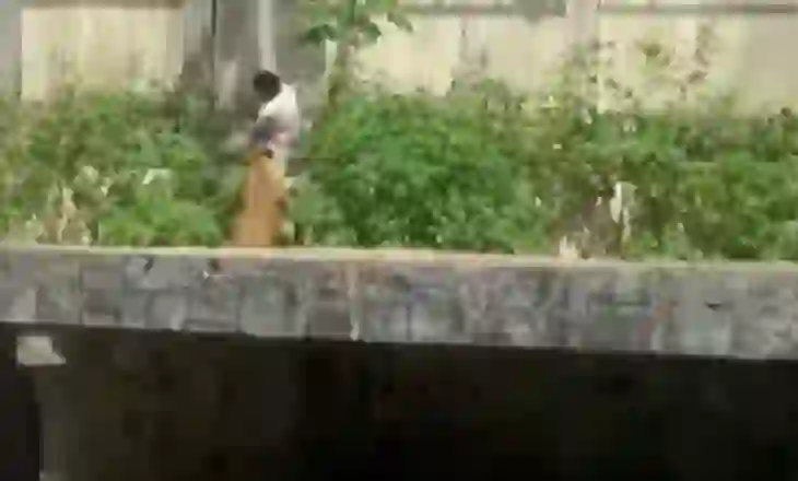 Video/ U hodh nga muri brenda kopshtit zoologjik, luani sulmon për vdekje të riun