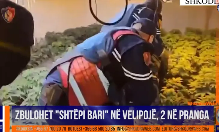 VIDEO – Zbulohet “shtëpi bari” në Velipojë, arrestohet 22- vjeçari, në pranga punonjësi i OSHEE…