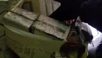 Vinte nga Amerika Latine, sekuestrohen 435 kg kokainë në Itali, droga me vlerë 70 mln euro