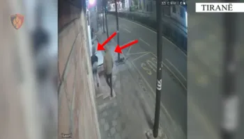 Vodhën para dhe pajisje në tre dyqane në Tiranë, arrestohen dy autorët