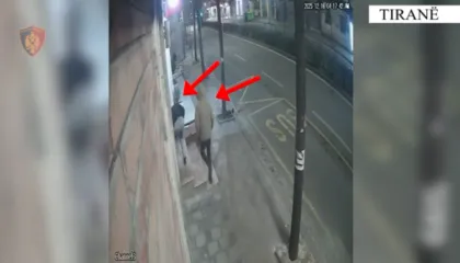 Vodhën para dhe pajisje në tre dyqane në Tiranë, arrestohen dy autorët