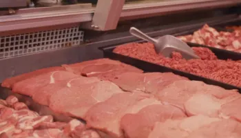 Zbulohen 4 ton mish dhe mbi 9 mln euro të padeklaruara, kallëzim penal ndaj subjektit tregtar në Tiranë (VIDEO)