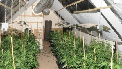 Zbulohet “shtëpia e barit” në Velipojë, dy të arrestuar, policia jep detaje