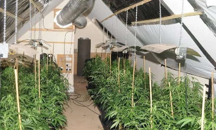 Zbulohet “shtëpia e barit” në Velipojë, dy të arrestuar, policia jep detaje