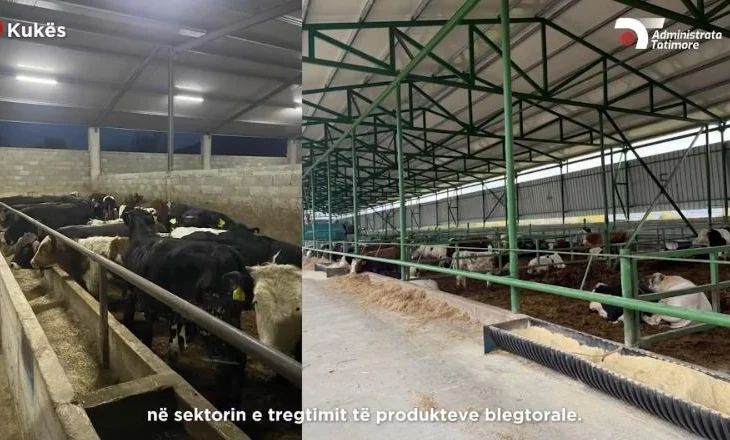 Zbulohet skema gjigante e evazionit fiskal/ 3 biznese fshehin 10 milionë euro, Tatimet sekuestrojnë kompjuterët