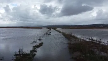 1200 hektarë tokë e përmbytur në Lushnjë dhe Divjakë/ Dëme të konsiderueshme në bujqësi, kërcënohet blegtoria