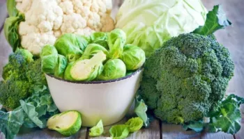 5 përfitime kur shtoni jeshillëqet në dietën tuaj ushqimore