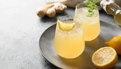 A ka vërtet përfitime shëndetësore nga pirja e kombuçës?