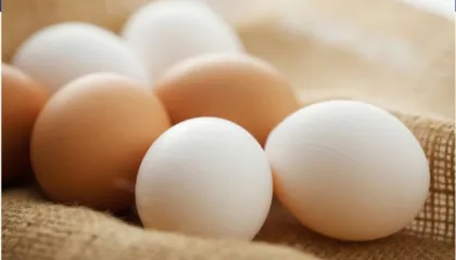 A ndryshon cilësia e vezëve sipas ngjyrës së lëvozhgës? Ja çfarë thonë ekspertët