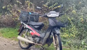 Aksident me vdekje në Lushnjë, humb jetën 70-vjeçari (Emri)