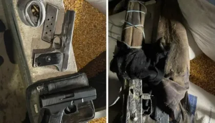 Aksion “blic” në Fier! Policia gjen arsenal armësh dhe drogë, në pranga një person (EMRI)