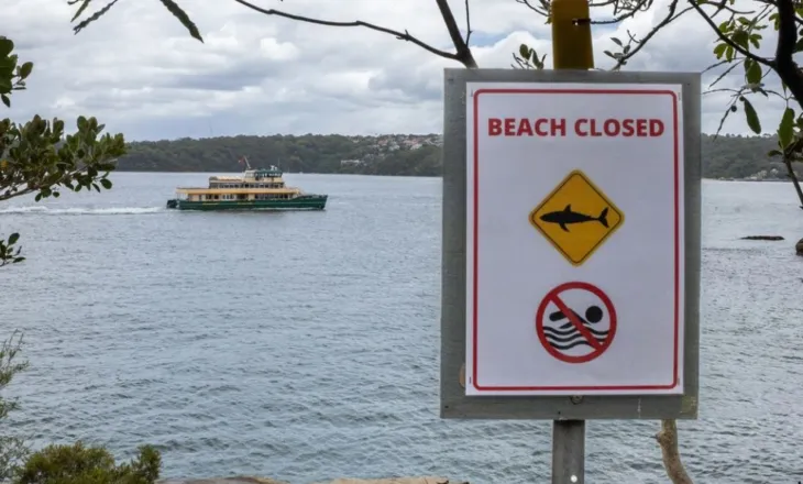 Alarm në Australi: Katër sulme nga peshkaqenë brenda 48 orëve, autoritetet u bëjnë thirrje qytetarëve të shmangin detin