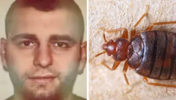 Alarm në procesin kundër Franc Çopjas/ Gjyqi ndërpritet për shkak të morrave të shtratit