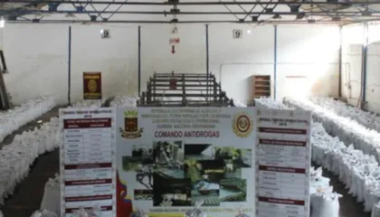 Analiza e REL: Lidhjet e grupeve kriminale nga Ballkani me Venezuelën