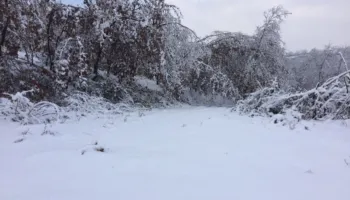 Automjete të bllokuara nga dëbora në Qafë Thore, drejtuesit denoncojnë mungesën e borëpastrueseve