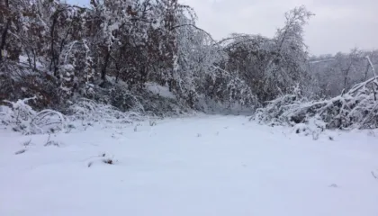 Automjete të bllokuara nga dëbora në Qafë Thore, drejtuesit denoncojnë mungesën e borëpastrueseve