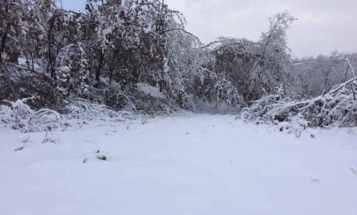Automjete të bllokuara nga dëbora në Qafë Thore, drejtuesit denoncojnë mungesën e borëpastrueseve