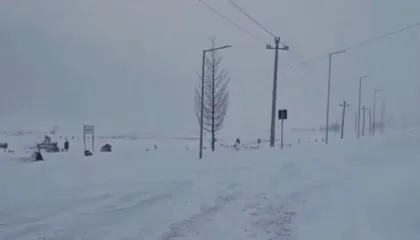 Automjeti me 3 persona bllokohet nga bora në malet e Gramshit, humbet kontakti prej orësh