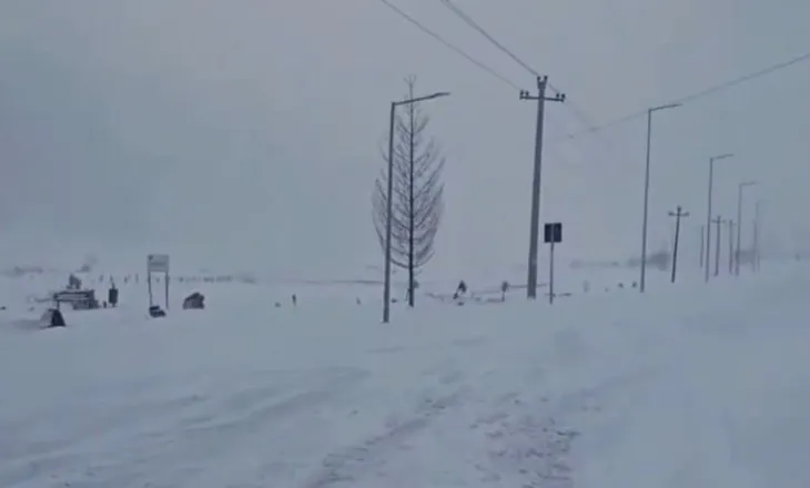 Automjeti me 3 persona bllokohet nga bora në malet e Gramshit, humbet kontakti prej orësh