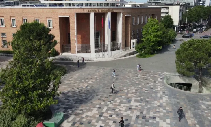 “Banka e zhvillimit, burim rreziku fiskal”, FMN: Duhet kuadër i fortë qeverisje. Ekspertët: Të ndiqet shembulli i vendeve të tjera