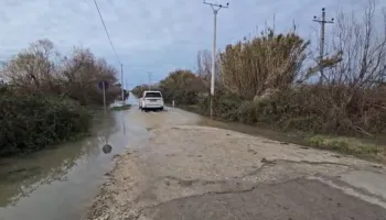 Barinjtë nuk evakuohen, po qëndrojnë me lopët në zonën e përmbytur