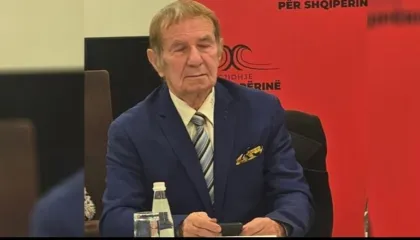 Berisha fliste për rrëzimin e qeverisë, aleatin e tij e zë gjumi