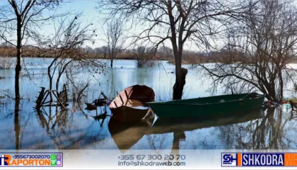 Bie niveli i ujit në Obot me 10 cm, në total sipërfaqja nën ujë në Bashkinë Shkodër është 800 ha…